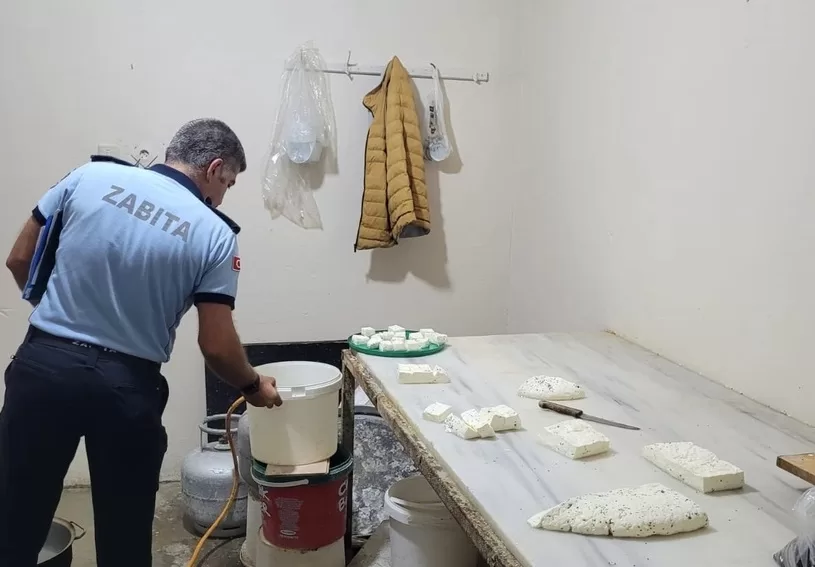 Bursa’da, Osmangazi Belediyesi Zabıta Müdürlüğü ekipleri tarafından, merdiven altı peynir