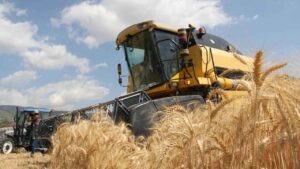 Türkiye İstatistik Kurumu (TÜİK), Şubat ayı Tarım Ürünleri Üretici Fiyat