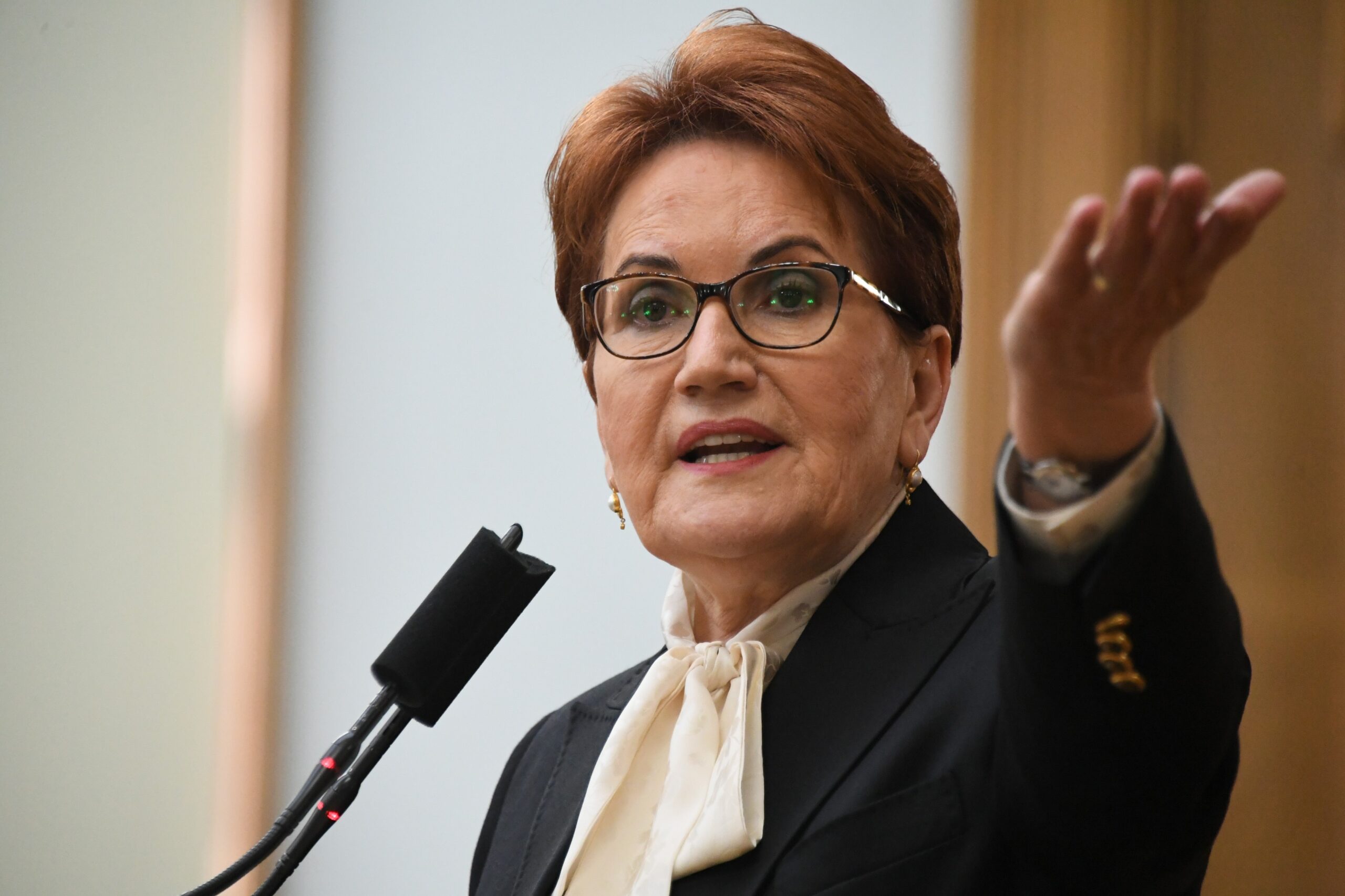 İYİ Parti Genel Başkanı Meral Akşener, partisinin yeni yılın ilk