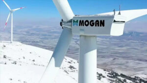 Artemis Halı ve Mogan Enerji halka arz oluyor! Borsa İstanbul’da