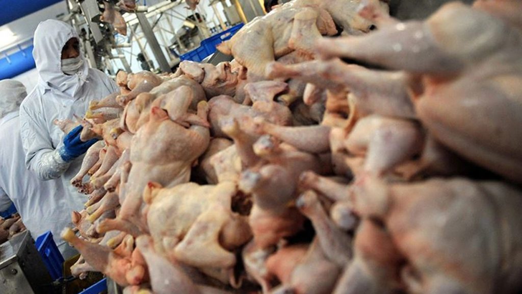Zam Rekoru Kırmıştı: Tavuk İhracatına Yasak Geliyor