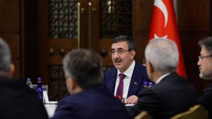 Yatırım Ortamını İyileştirme Koordinasyon Kurulu (YOİKK), Cumhurbaşkanı Yardımcısı Cevdet Yılmaz