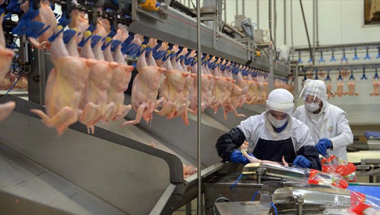 Zam Rekoru Kırmıştı: Tavuk İhracatına Yasak Geliyor