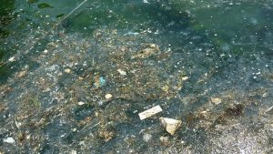 Sarıyer’de denizde oluşan kirlilik, sahilde kötü görüntülere sebep oldu. Kirlilik