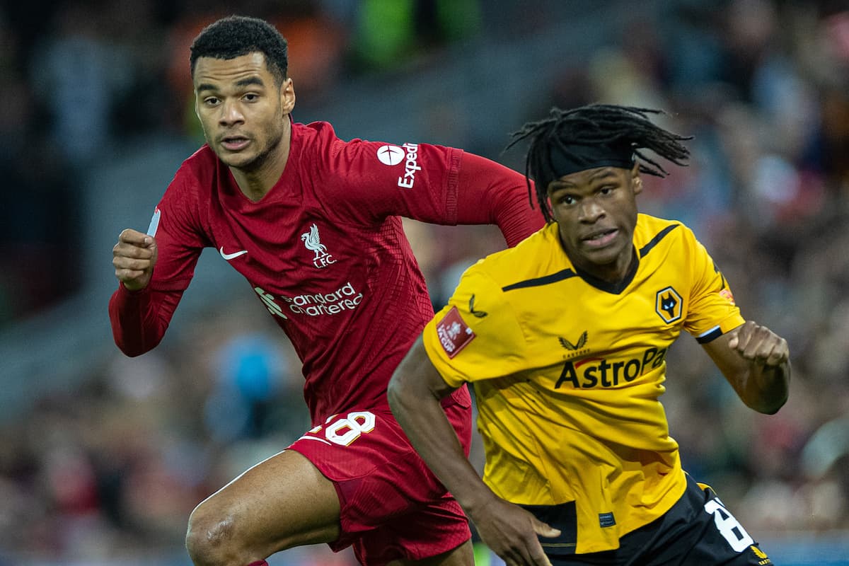 Liverpool - Wolverhampton maçı beiN Sports, TARAFTARIUM 24 CANLI İZLE! Liverpool - Wolverhampton Canlı Donmadan Şifresiz izleme linki
