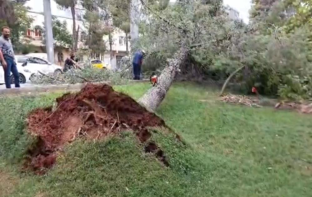 Şanlıurfa ve Gaziantep'te Şiddetli Fırtına ve Yağmur: Ağaçlar Devrildi, Yollar Göle Döndü
