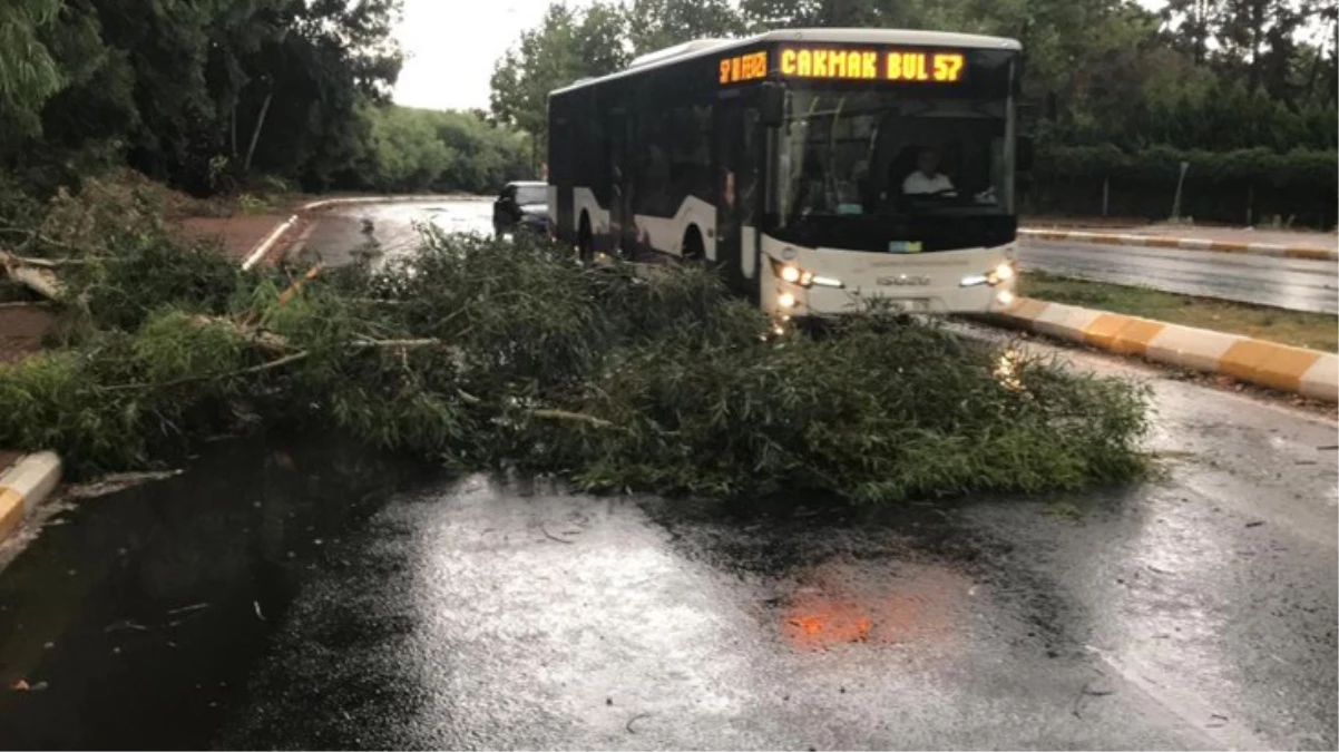 Şanlıurfa ve Gaziantep'te Şiddetli Fırtına ve Yağmur: Ağaçlar Devrildi, Yollar Göle Döndü