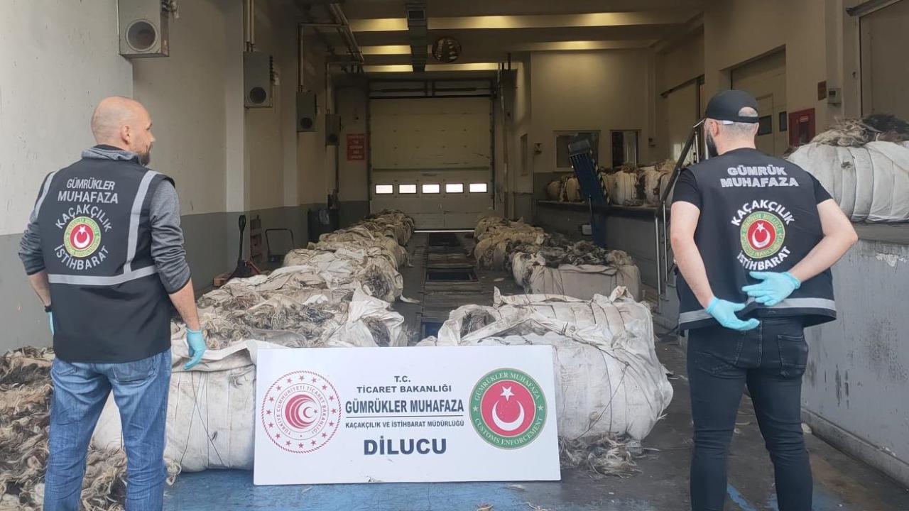 Ticaret Bakanlığı Esendere Gümrük Muhafaza Kaçakçılık ve İstihbarat Müdürlüğü ekiplerince