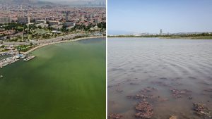 İzmir‘in iki farklı ilçesinde denizin renginde farklılık dikkat çekti. Karşıyaka