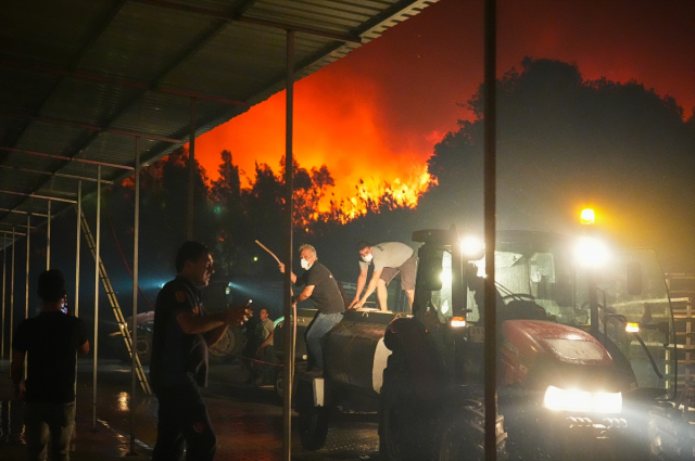 İzmir'in Selçuk ve Menderes İlçelerinde Yangın: Müdahale Devam Ediyor