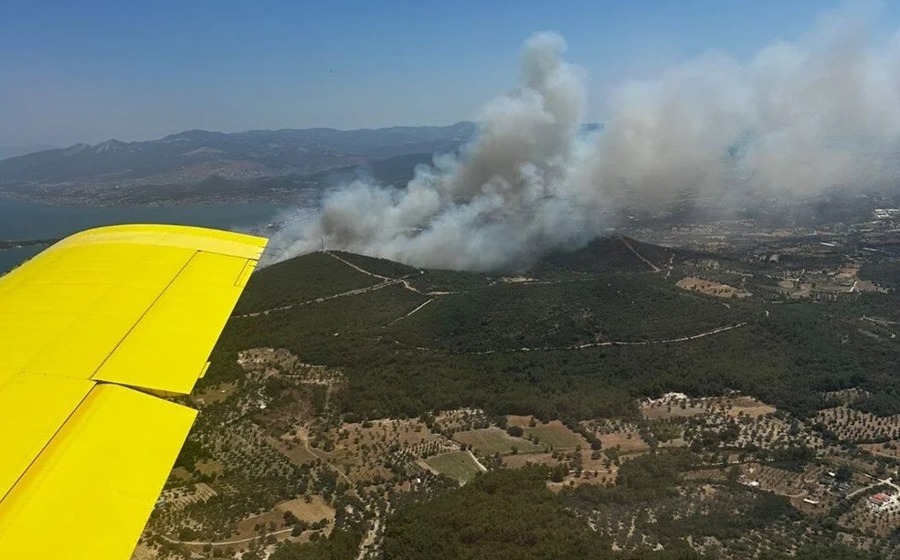 İzmir’in Urla ilçesi Çeşmealtı Mahallesi’ndeki yerleşim yerlerine yakın ormanlık alanda,