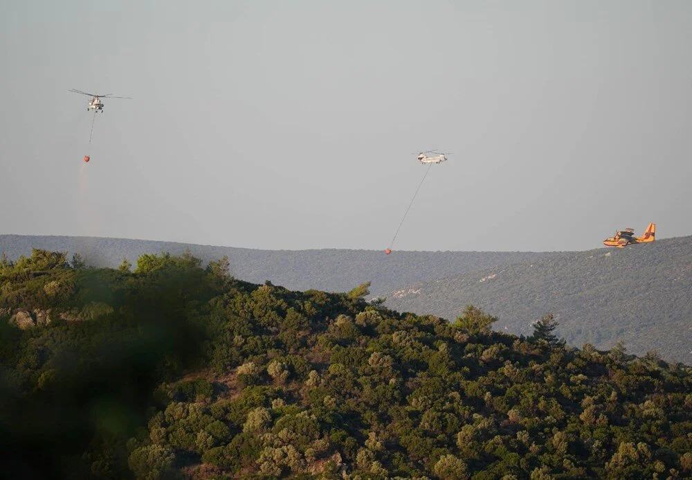 İzmir'de Orman Yangını: 2 Sitede Tahliye