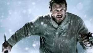 Gri Kurt filmi, 23 Mart 2012’de vizyona giren ve yönetmenliğini