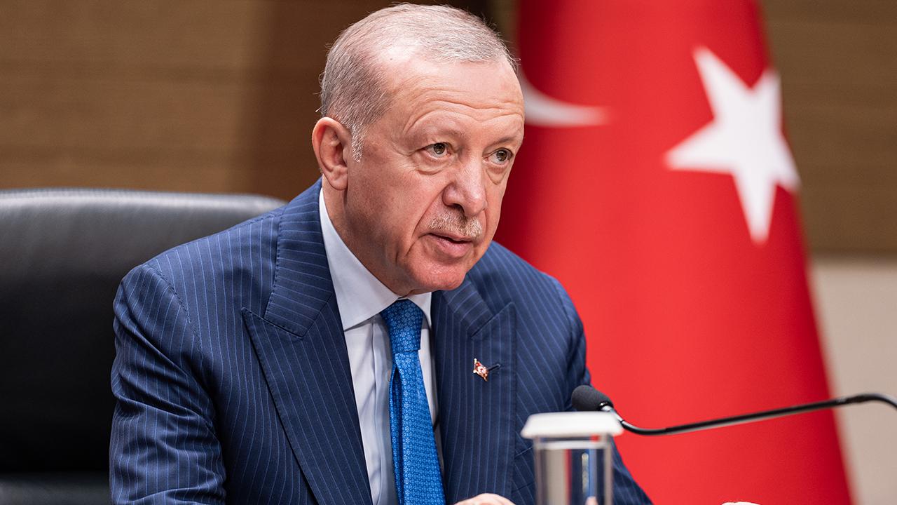 erdoğan brics ikili