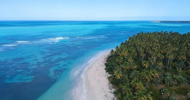 Survivor 2025 Hangi Ülkede Nerede Çekiliyor? 2025 Survivor Adası Neresi?