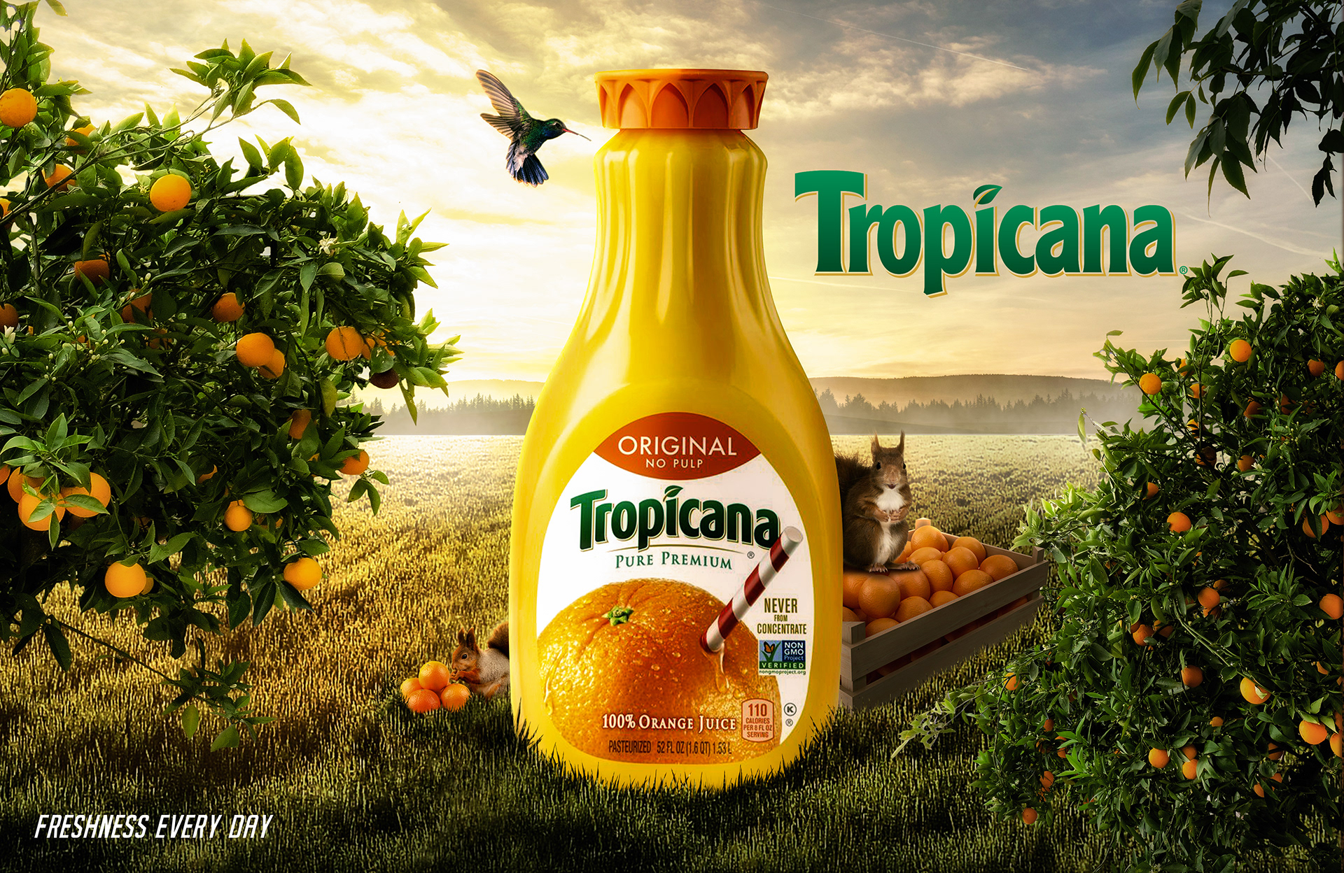 Tropicana İsrail'in mi, Kimin? Boykot Mu? İsrail'i Destekliyor mu?