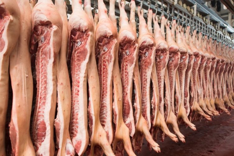 Domuz Eti Bakın Nasıl Anlaşılır? Tadı, Kokusu, Rengi Nasıldır?