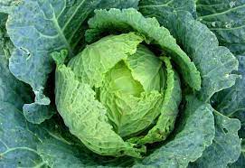 Lazca'da "Kara Lahana" Ne Anlama Gelir? Kara Lahana'nı Lazca'da Karşılığı Nedir?