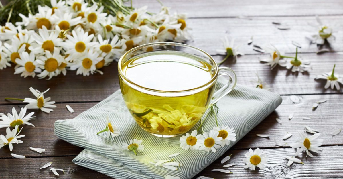 Papatya Çayı Uyku Getirir mi, Neden Uyku Yapar? Papatya Çayı Nasıl Yapılır, Yatmadan Ne Kadar Önce İçilmelidir?