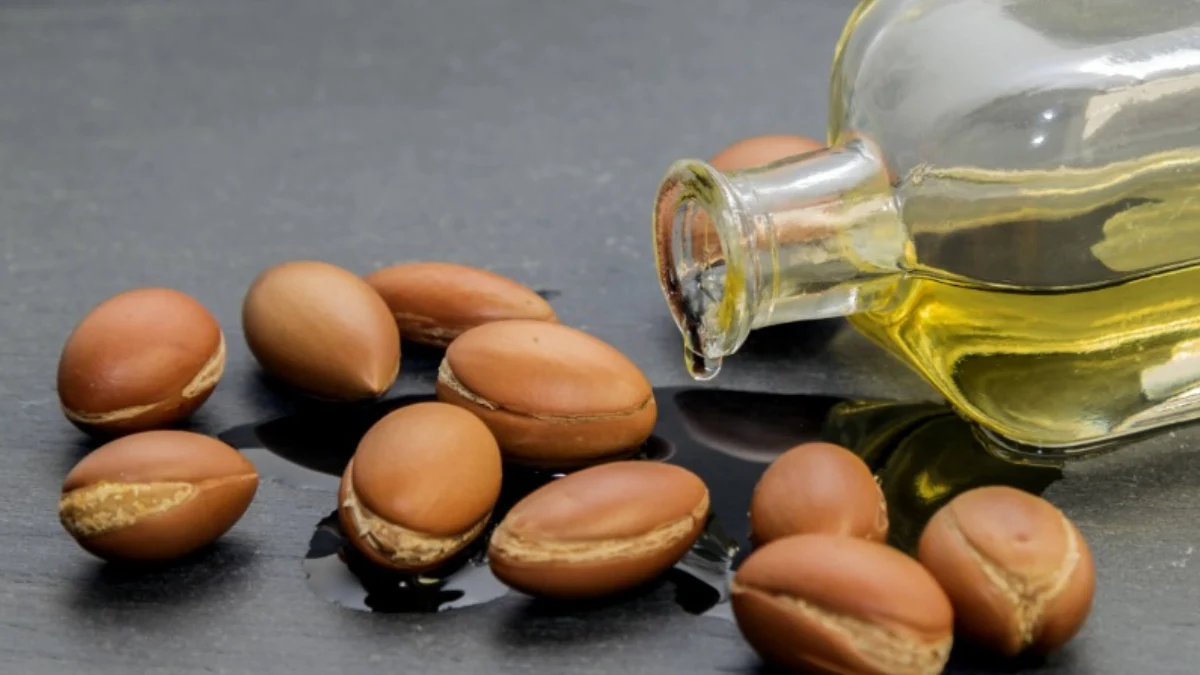  Fas’ın özel argan ağacından elde edilen argan yağı, doğal