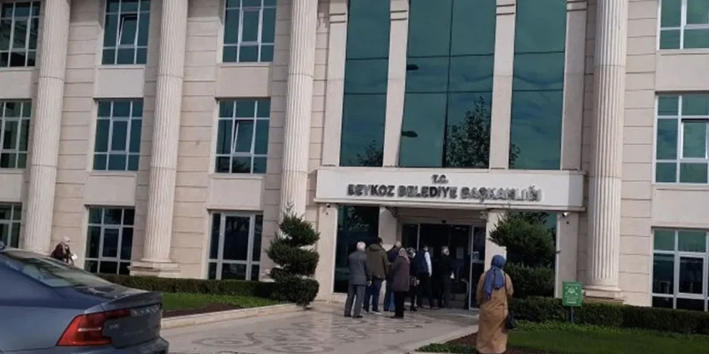 beykoz belediye inceleme fidan gül