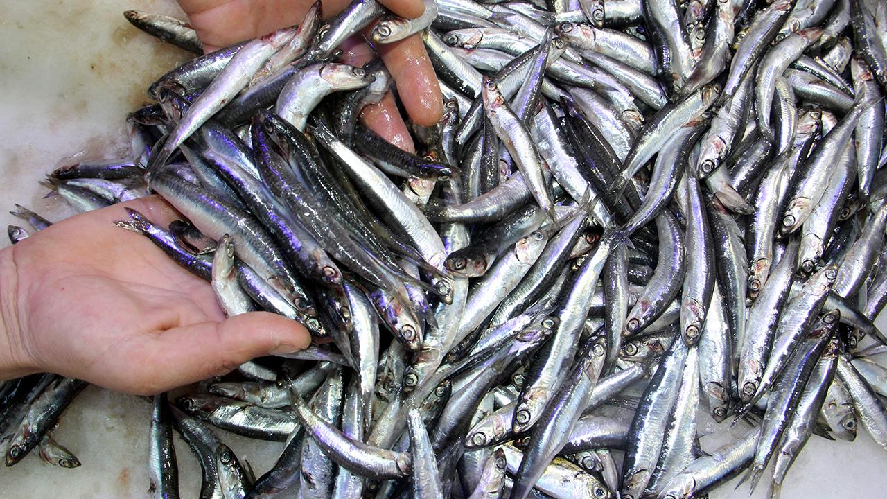 Doğu Karadeniz İhracatçılar Birliği Yönetim Kurulu Başkanı Saffet Kalyoncu, 10