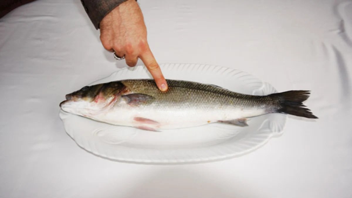 Balık seçerken taze olup olmadığını nasıl anlarsınız? Gözlerinden derisine, solungaçlarından