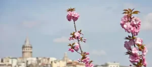 2025 İstanbul Nevruz Bayramı ne zaman, nerede kutlanacak ve saat