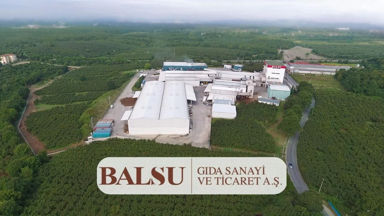 Balsu Gıda Halka Arzında Yatırımcılara Kaç Lot Dağıtıldı? Balsu Gıda Halka Arzından Elde Edilen Fonları Nasıl Kullanmayı Planlıyor?