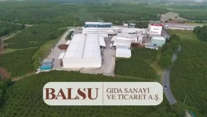 Balsu halka arz sonuçları nedir? Balsu Gıda, Türkiye’nin gıda sektöründeki