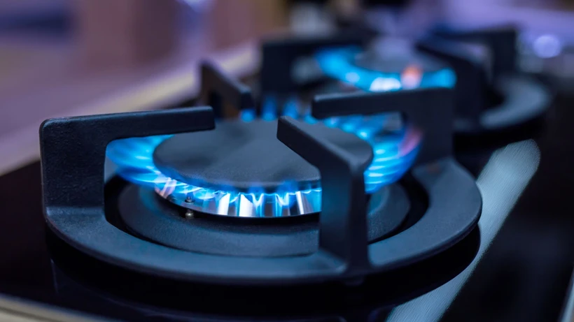 Doğalgaz Fiyatları Mart 2025’te Değişecek Mi, Zam Gelecek Mi? İşte BOTAŞ’ın Yeni Tarifesi