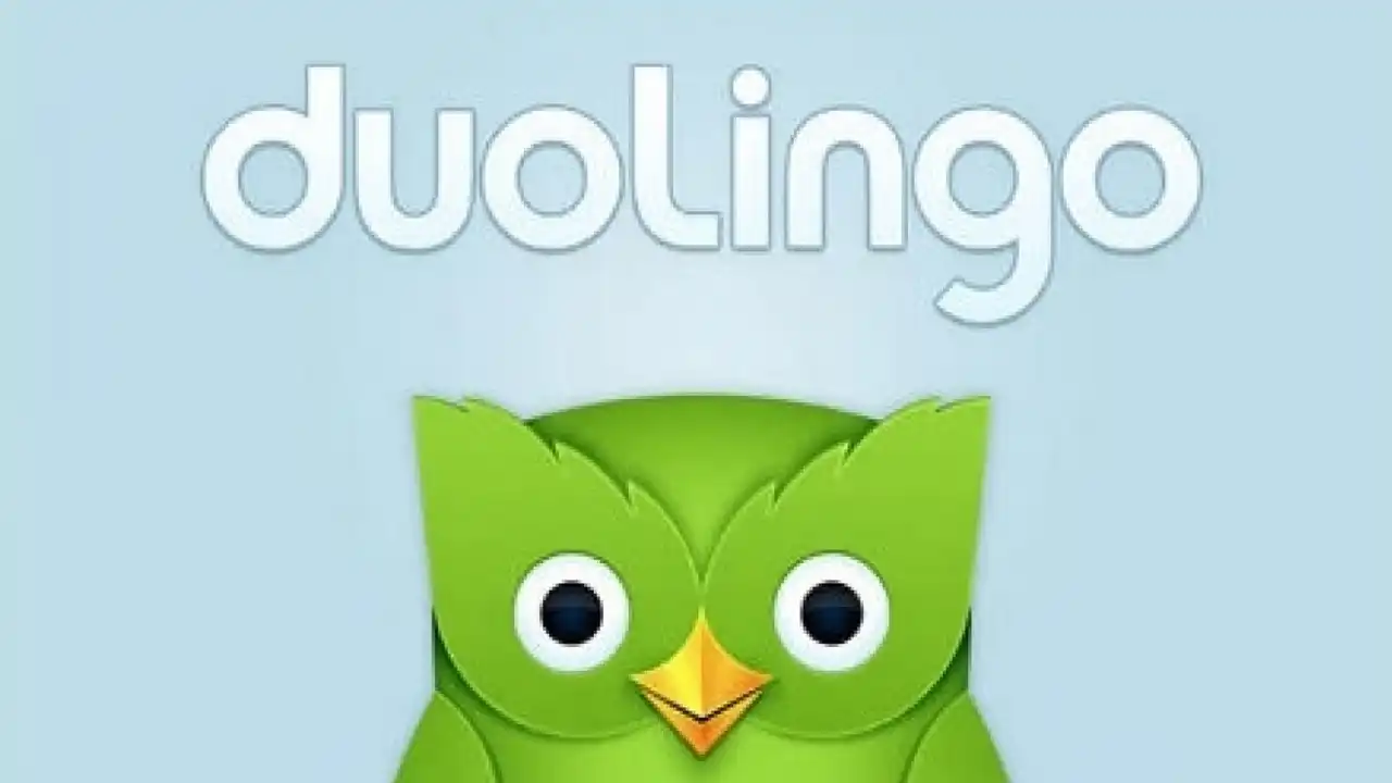 Duolingo baykuşu öldü
