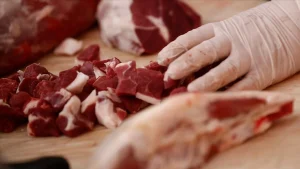 Tarım ve Orman Bakanlığı, Et ve Süt Kurumu (ESK) ile