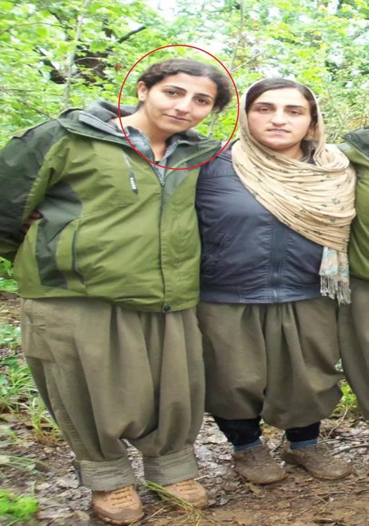 mit pkk zehra serhat 3