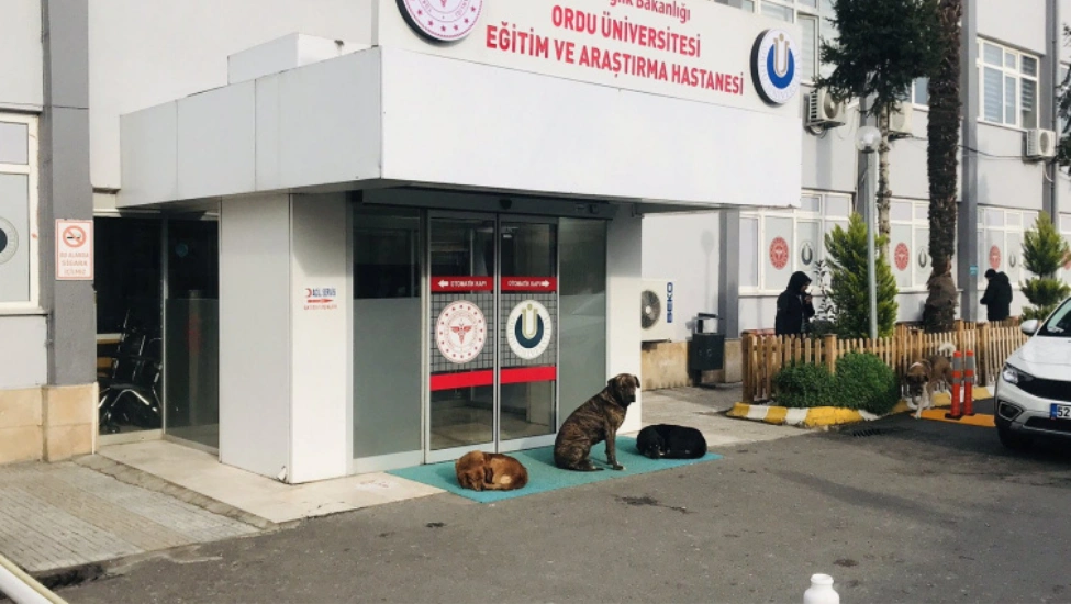 Sağlık Bakanlığı Halk Sağlığı Genel Müdürlüğü’nce hazırlanan “Sağlık Kuruluşlarında Sahipsiz