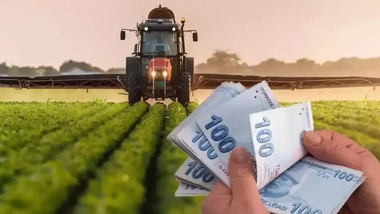 Tarımsal destek ödemesi sorgulama ekranı