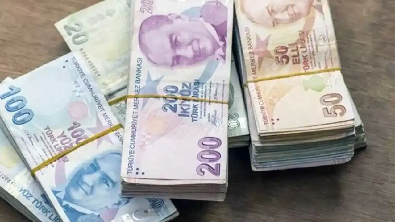 Vatandaşlık Maaşı Nedir