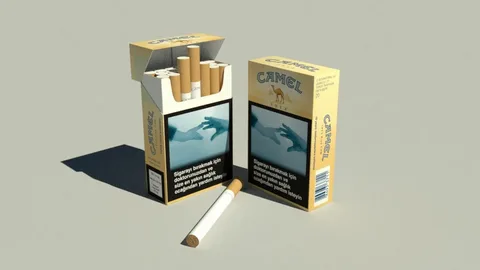 Camel Soft, Box, Green, Sky Blue, Deep Blue, Gray, Black, White Ne Kadar, Kaç TL? 2025 Camel Sigara Güncel Fiyat Listesi