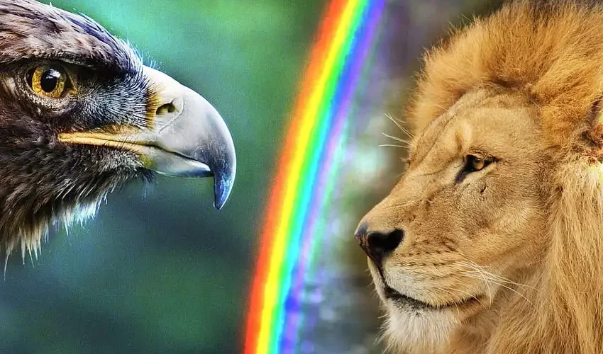 beşiktaş-galatasaray