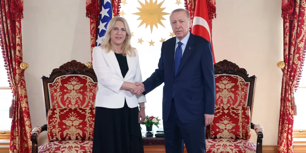 erdoğan bosna hersek sviyanoviç