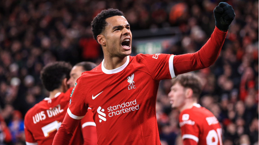 Cody Gakpo Kimdir? Boyu, Kilosu, Yaşı Kaç? Nereli, Piyasa Değeri, Mevkii, Hangi Takımlarda Oynadı? Liverpool Cody Gakpo Biyografisi