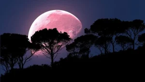 Pembe Ay ne zaman 2025’te görünecek? 13 Nisan gecesi gökyüzünü