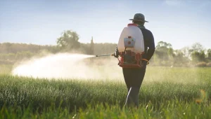 Pestisit nedir, hangi hastalıklara neden olur? Sofralarımızdaki bu görünmez tehlikeye