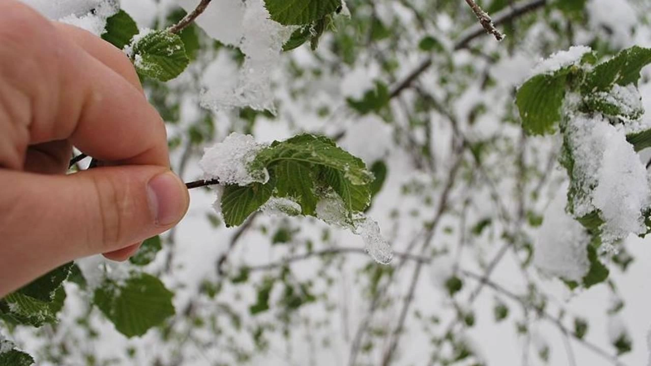 Meteoroloji Genel Müdürlüğü, 27 ilde beklenen zirai don ve kar