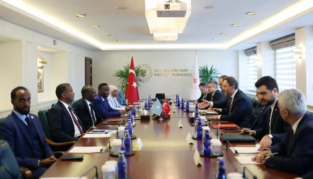 tpao somali 2