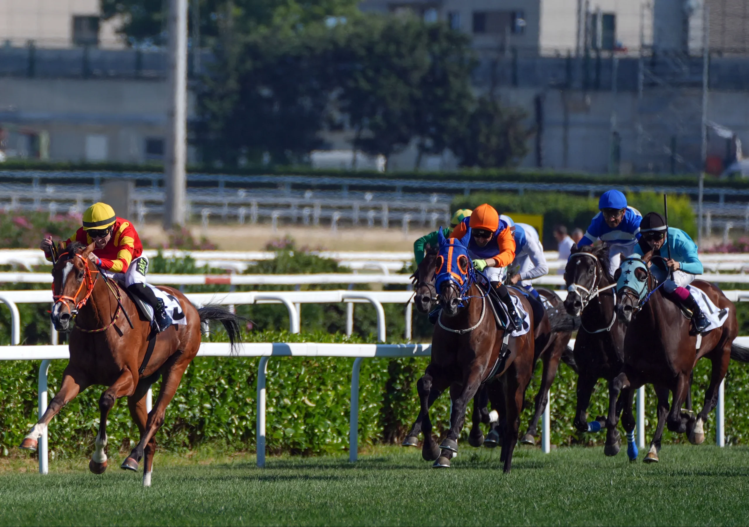 2025 Gazi Koşusu ne zaman? 30 Haziran'da Veliefendi Hipodromu'nda! Yarış