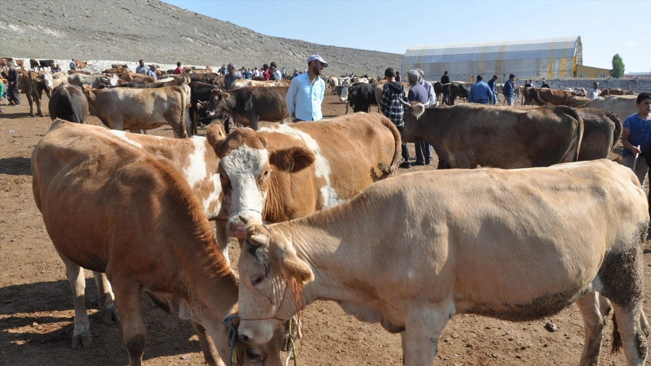2025 Kurban Bayramı Tatili: 9 Gün Olacak mı? Arefe Günü Tatil mi?