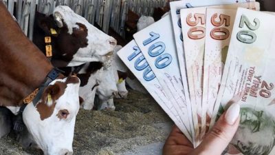 Tarım ve Orman Bakanı İbrahim Yumaklı, Kırsalda Bereket Projesi kapsamında