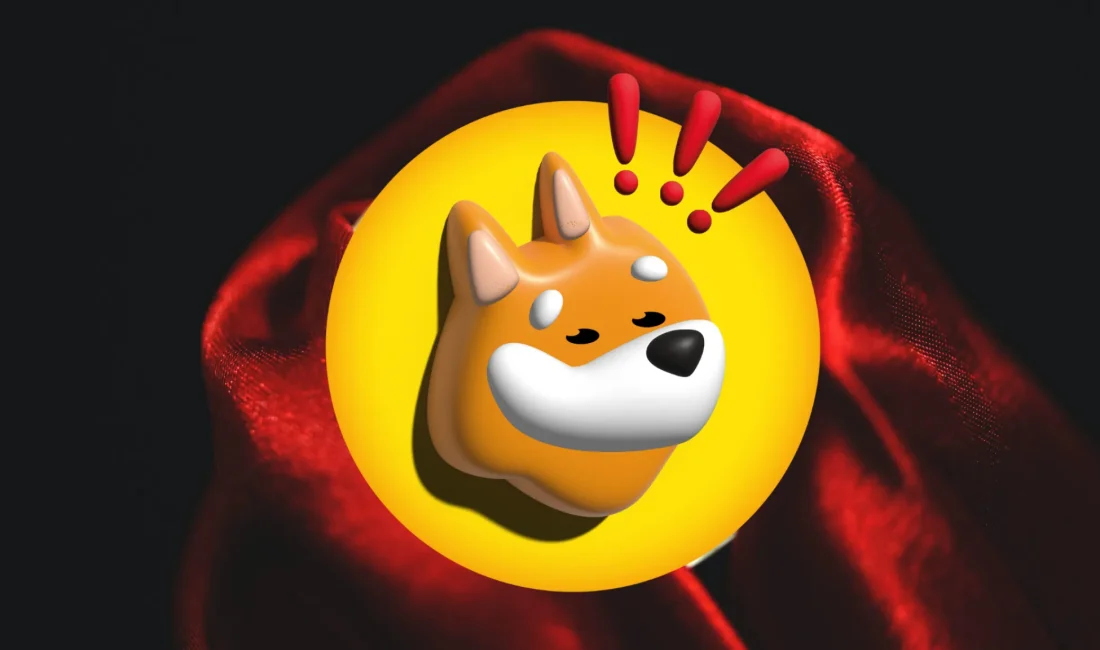 BONK Coin Nedir? Solana’nın köpek temalı meme coini BONK, topluluk