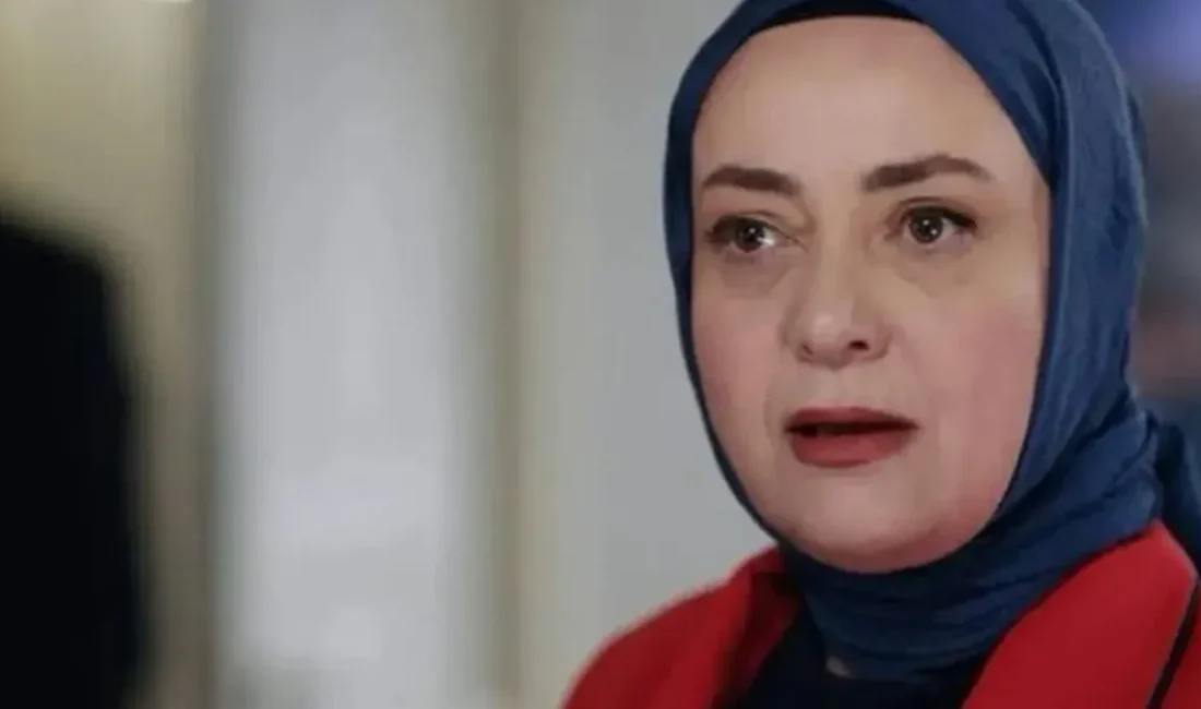 Kızılcık Şerbeti dizisinde 96 bölüm boyunca "Pembe Ünal" karakterini canlandıran